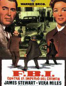 История агента ФБР