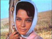 Кадр Стряпуха