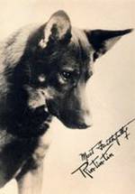 Рин Тинь Тинь фото