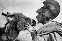 Кадр Амфитрион