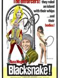 Постер из фильма "Черная змея" - 1