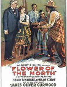 The Flower of the North