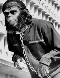 Кадр Завоевание планеты обезьян