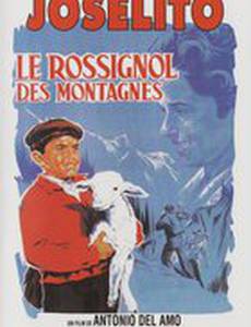 Соловей с вершины