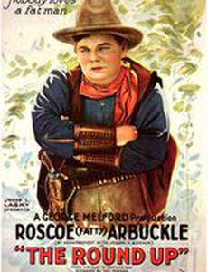 Сводка новостей