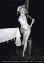 Дикси Эванс фото