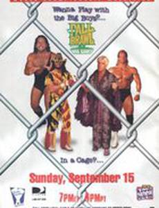 WCW Жесткая драка 1996