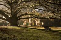 Кадр Не бойся темноты