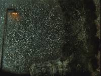 Кадр Сказка сказок