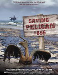 Saving Pelican 895