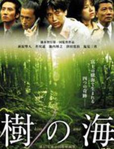 Море деревьев