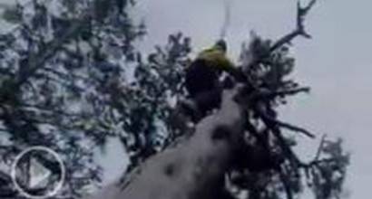 Фан-трейлер