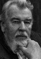 Бернхард Викки