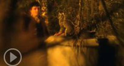 Мультфильм 