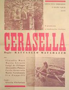 Cerasella