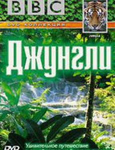 BBC: Джунгли