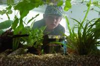 Кадр Дурацкая кепка