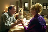 Кадр Мистер Гафф