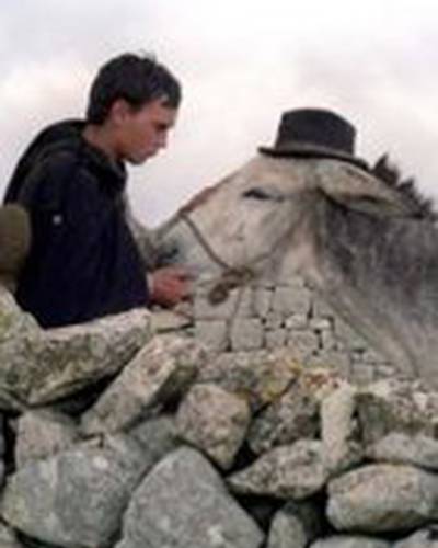 Франческо Касиса фото