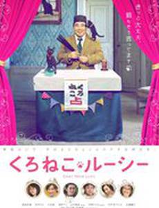 Люси – черная кошка