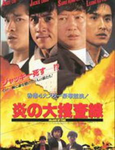 Остров огня