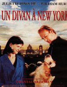 Кушетка в Нью-Йорке