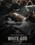 Постер из фильма "Белый бог" - 1