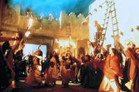 Кадр Ноев ковчег