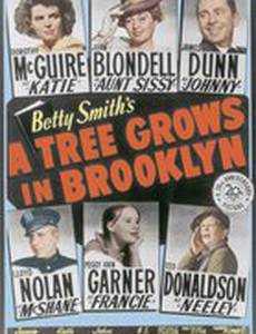 Дерево растет в Бруклине