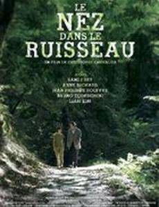 На берегу реки