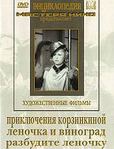 Приключения Корзинкиной