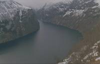 Кадр И на камнях растут деревья