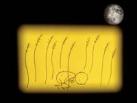 Кадр Я так горжусь тобой