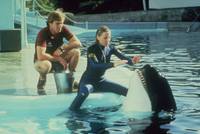 Кадр Челюсти 3