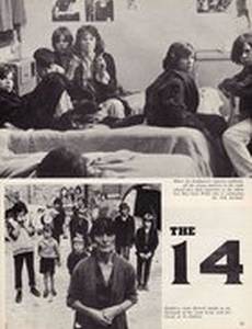 Четырнадцать