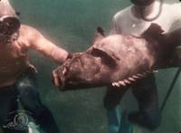 Кадр Cycles South