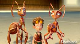 Кадр из фильма "Гроза муравьев" - 1