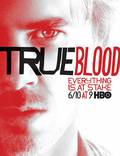 Постер из фильма "Настоящая кровь" - 1