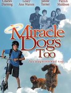 Зак и чудо-собаки (видео)