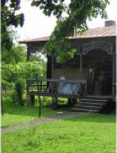 Колхидская сюита