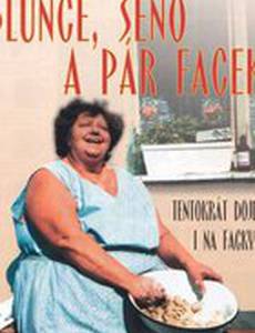 Экспериментатор