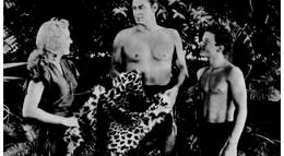 Кадр из фильма "Приключения Тарзана в Нью-Йорке" - 1