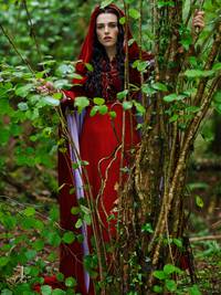 Кадр Мерлин