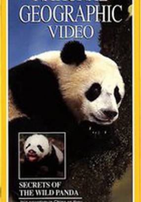 Secrets of the Wild Panda