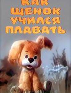 Как щенок учился плавать