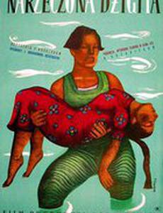 Девушка-джигит