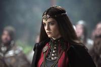 Кадр Камелот