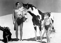 Кадр Тарзан и тайна пустыни