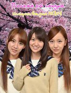 Письма от сакуры