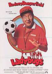 Божьи коровки